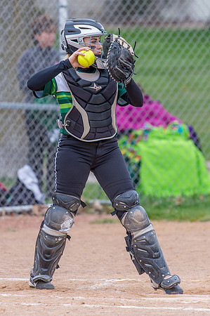 2016 Greendale Varsity Softball