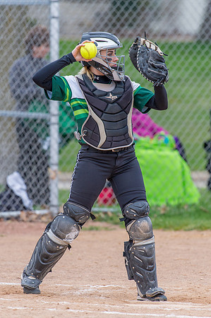 2016 Greendale Varsity Softball
