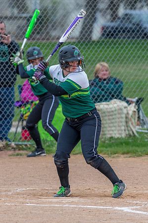 2016 Greendale Varsity Softball