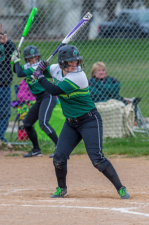 2016 Greendale Varsity Softball