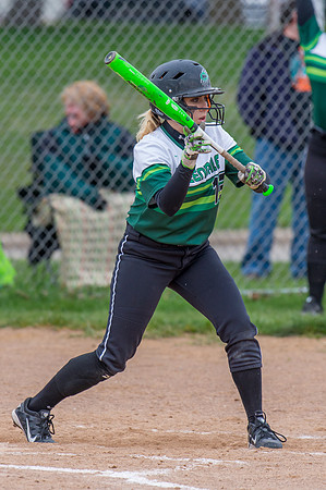 2016 Greendale Varsity Softball