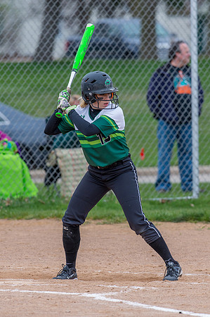 2016 Greendale Varsity Softball