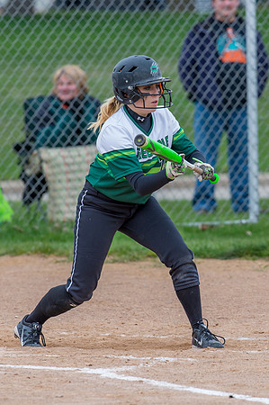 2016 Greendale Varsity Softball