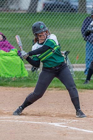 2016 Greendale Varsity Softball