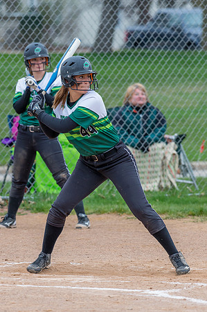 2016 Greendale Varsity Softball