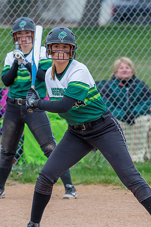 2016 Greendale Varsity Softball