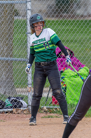 2016 Greendale Varsity Softball