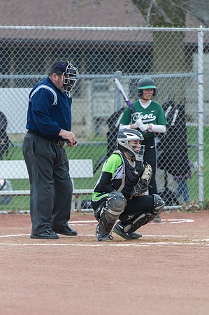 2015 Greendale Varsity Softball
