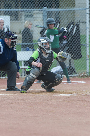 2015 Greendale Varsity Softball