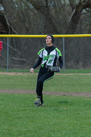 2015 Greendale Varsity Softball