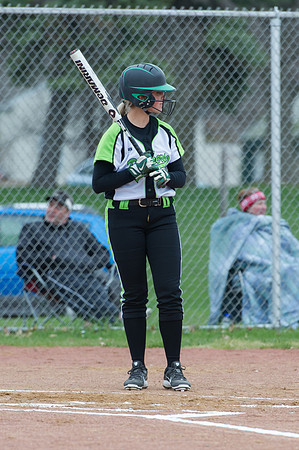 2015 Greendale Varsity Softball