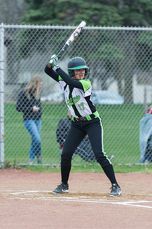 2015 Greendale Varsity Softball