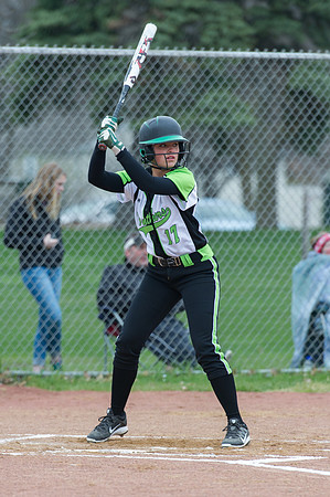 2015 Greendale Varsity Softball