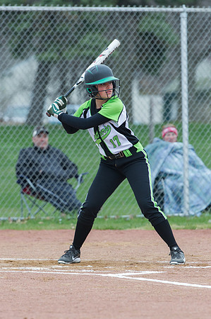 2015 Greendale Varsity Softball