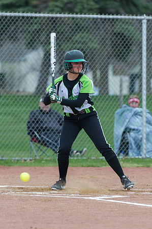 2015 Greendale Varsity Softball