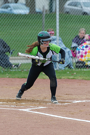 2015 Greendale Varsity Softball