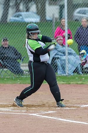 2015 Greendale Varsity Softball