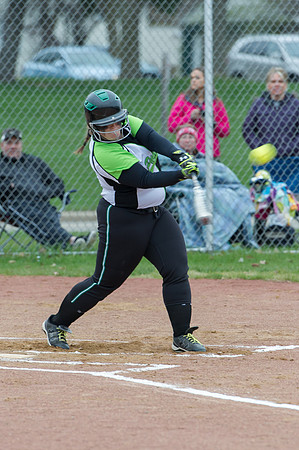2015 Greendale Varsity Softball