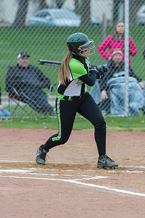 2015 Greendale Varsity Softball