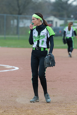 2015 Greendale Varsity Softball
