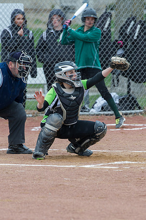 2015 Greendale Varsity Softball