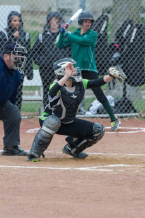 2015 Greendale Varsity Softball
