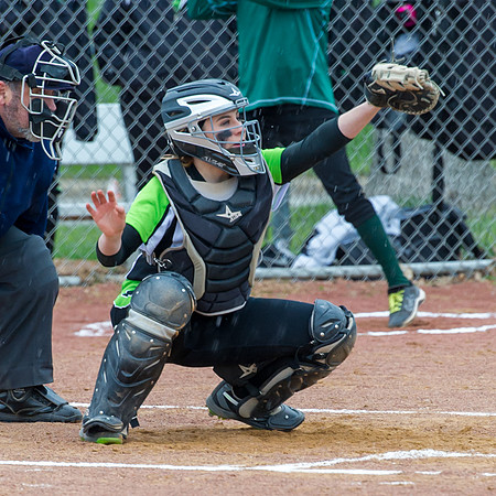 2015 Greendale Varsity Softball