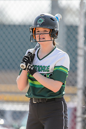 2017 Greendale Varsity Softball