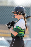 2017 Greendale Varsity Softball