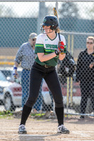 2017 Greendale Varsity Softball