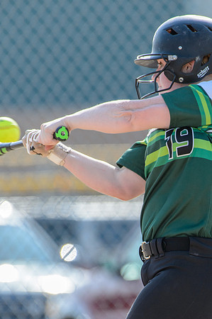 2017 Greendale Varsity Softball