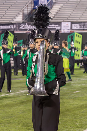 2014 Greendale Marching Band