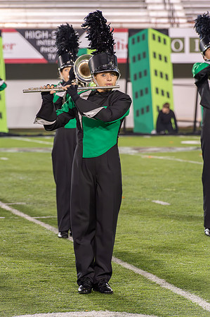 2014 Greendale Marching Band
