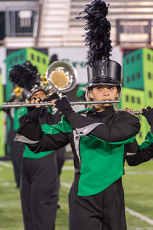 2014 Greendale Marching Band