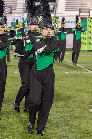 2014 Greendale Marching Band