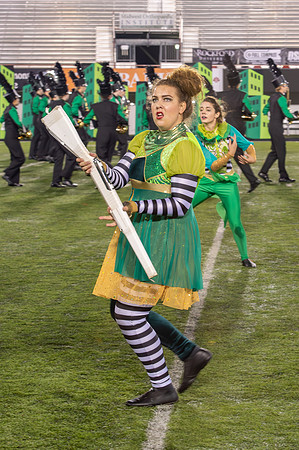2014 Greendale Marching Band
