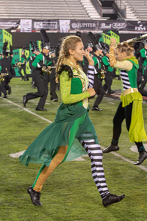 2014 Greendale Marching Band