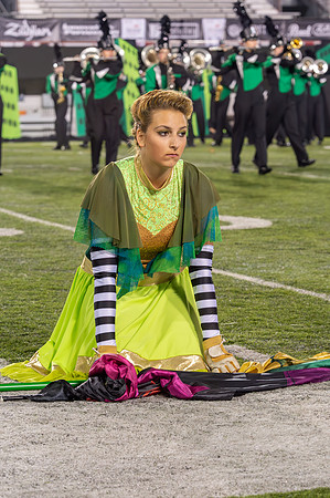 2014 Greendale Marching Band