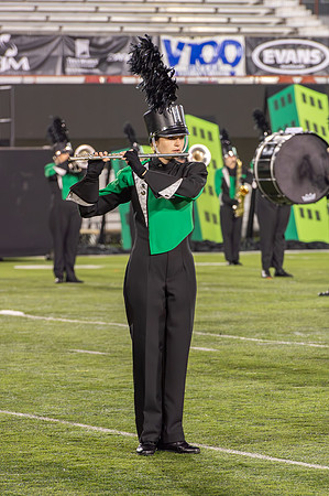 2014 Greendale Marching Band