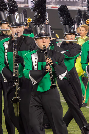 2014 Greendale Marching Band