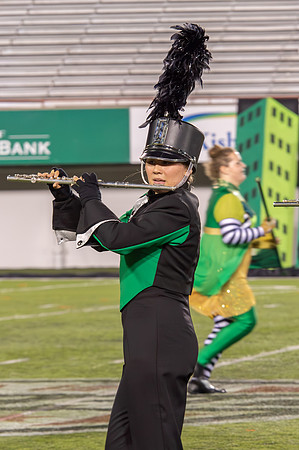 2014 Greendale Marching Band