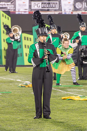 2014 Greendale Marching Band