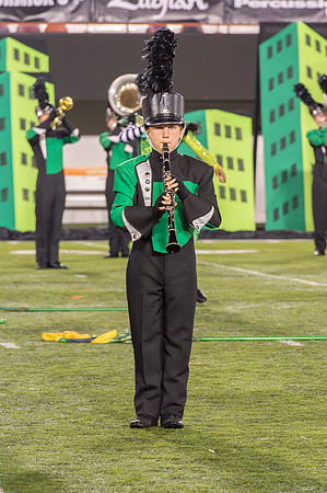 2014 Greendale Marching Band