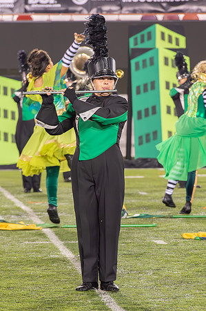 2014 Greendale Marching Band