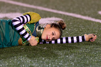 2014 Greendale Marching Band