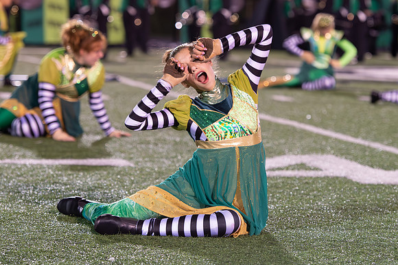 2014 Greendale Marching Band