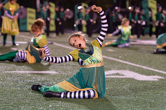 2014 Greendale Marching Band