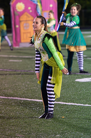 2014 Greendale Marching Band