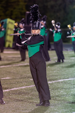 2014 Greendale Marching Band