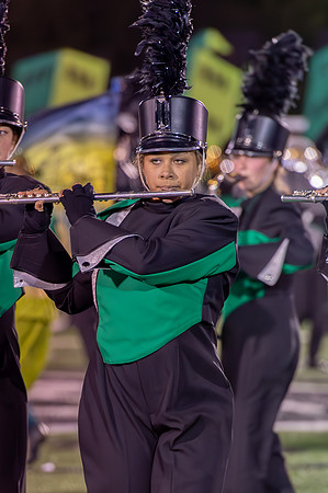 2014 Greendale Marching Band